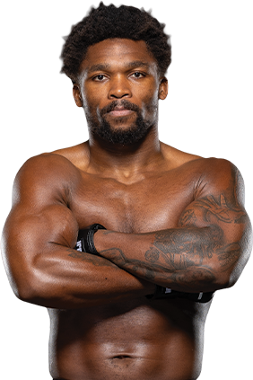Fighter
