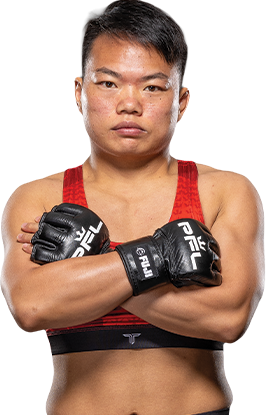 Fighter