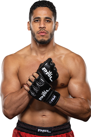 Fighter
