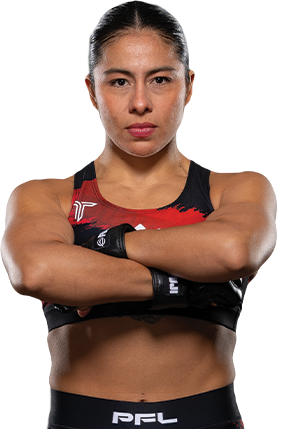 Fighter