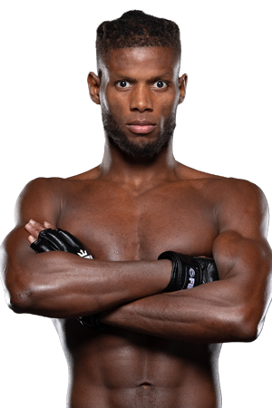 Fighter