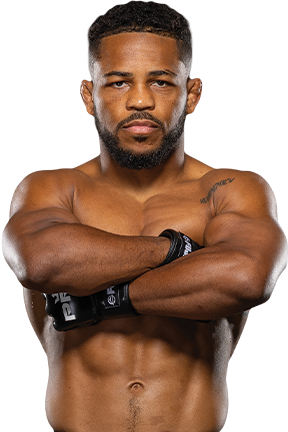 Fighter